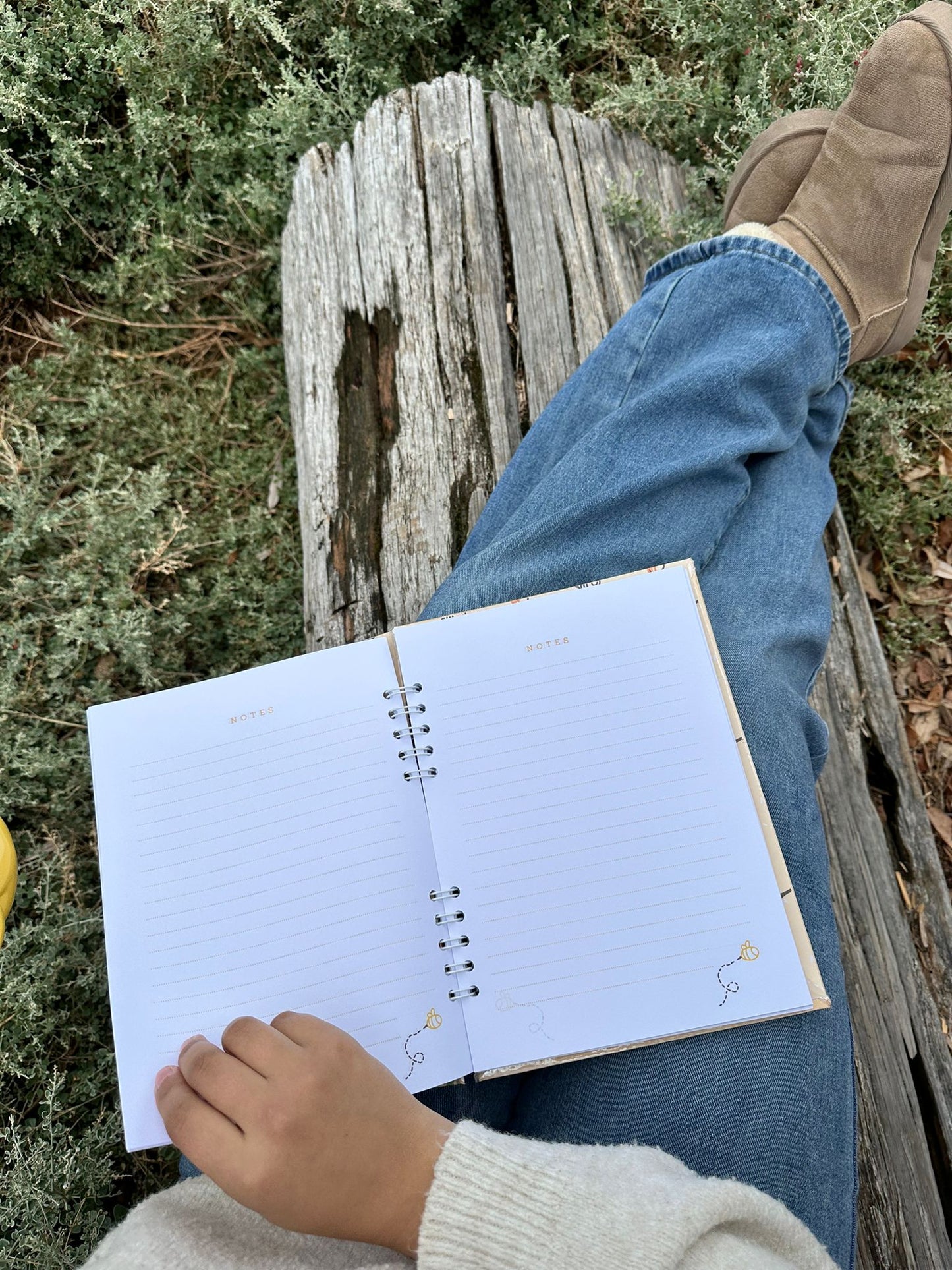 Winnie The Pooh Notebook - Yellow