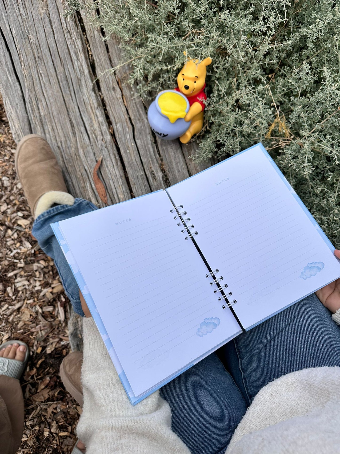 Winnie The Pooh Notebook - Blue