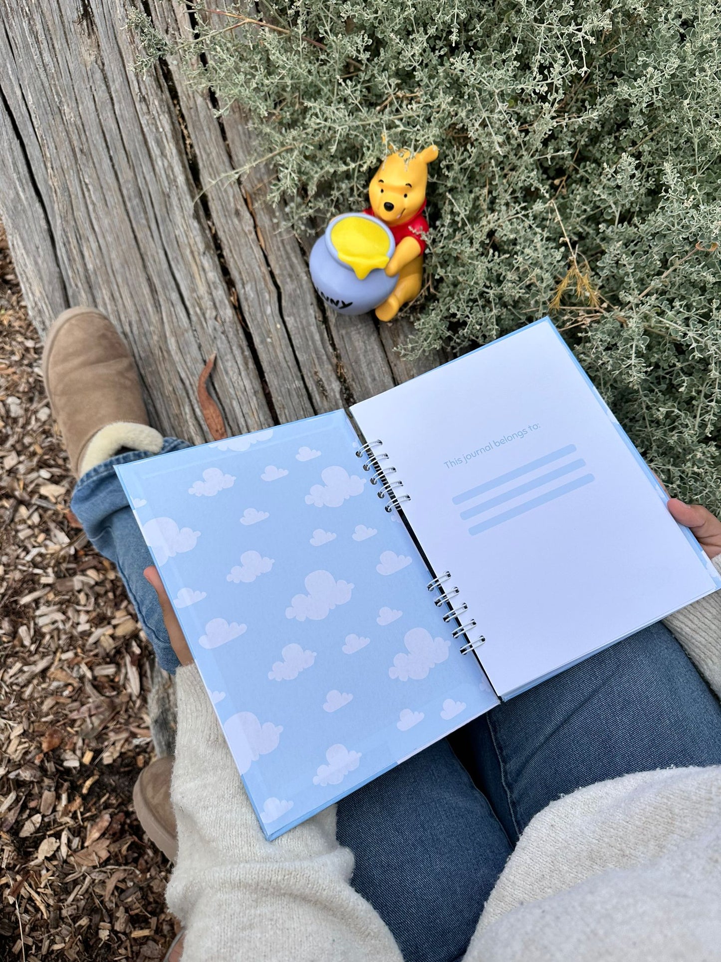 Winnie The Pooh Notebook - Blue