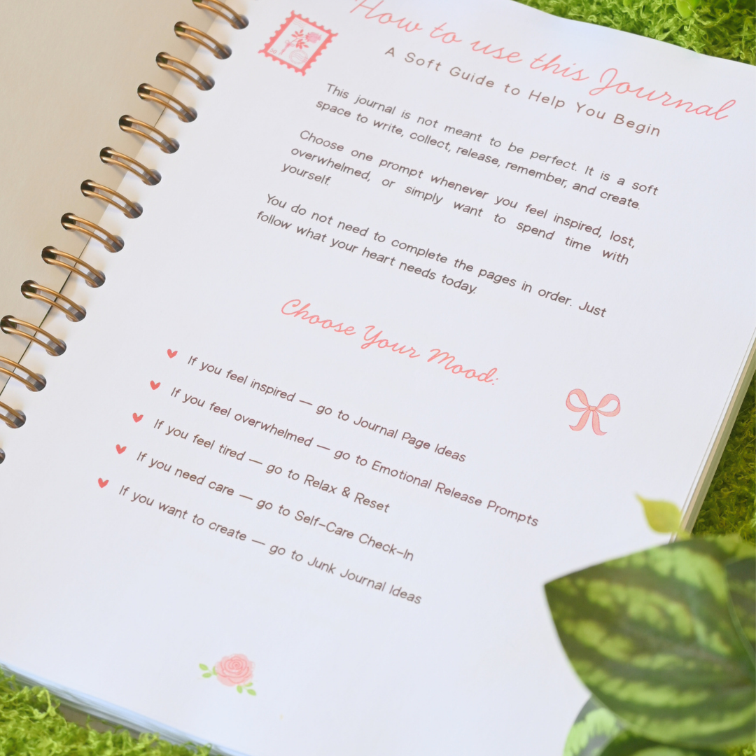 How to use this journal guide inside My Princess Diary