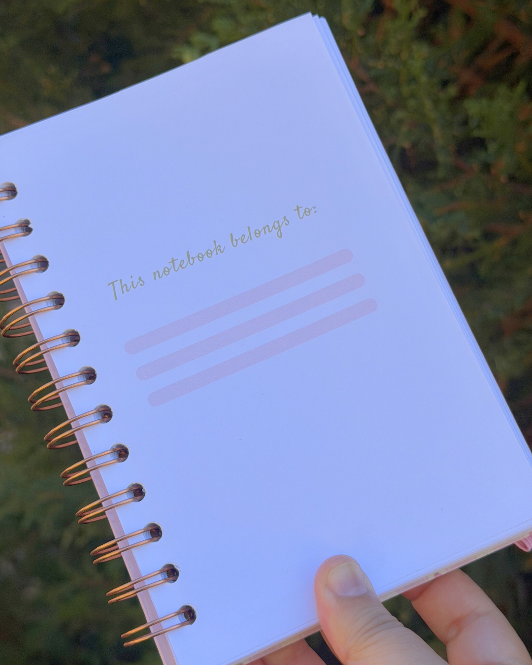 Soft Start Journal – Trust the process 🌷 (Handmade)