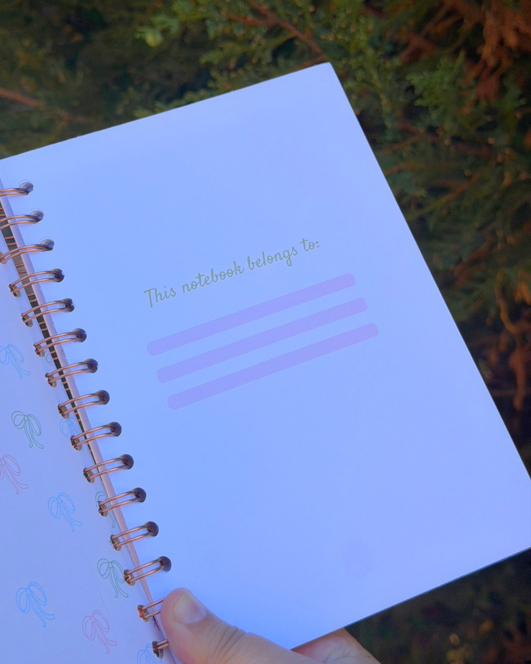 Soft Start Journal – Little Wins 🐞 (Handmade)