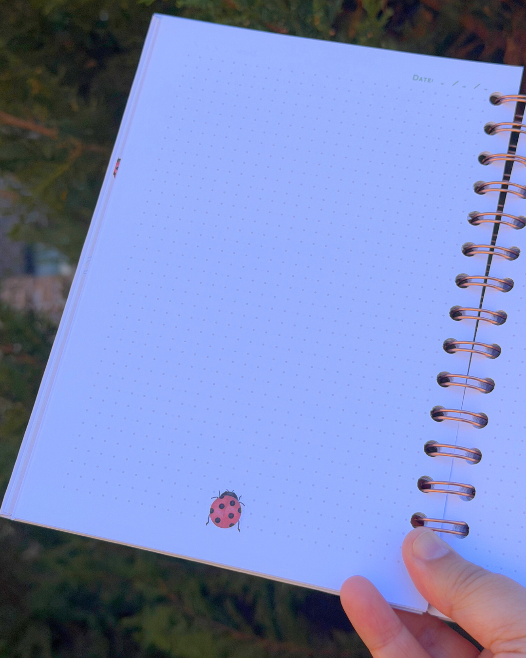 Soft Start Journal – Little Wins 🐞 (Handmade)